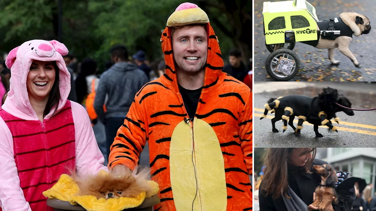 It takes a village to save beloved Halloween Dog Parade