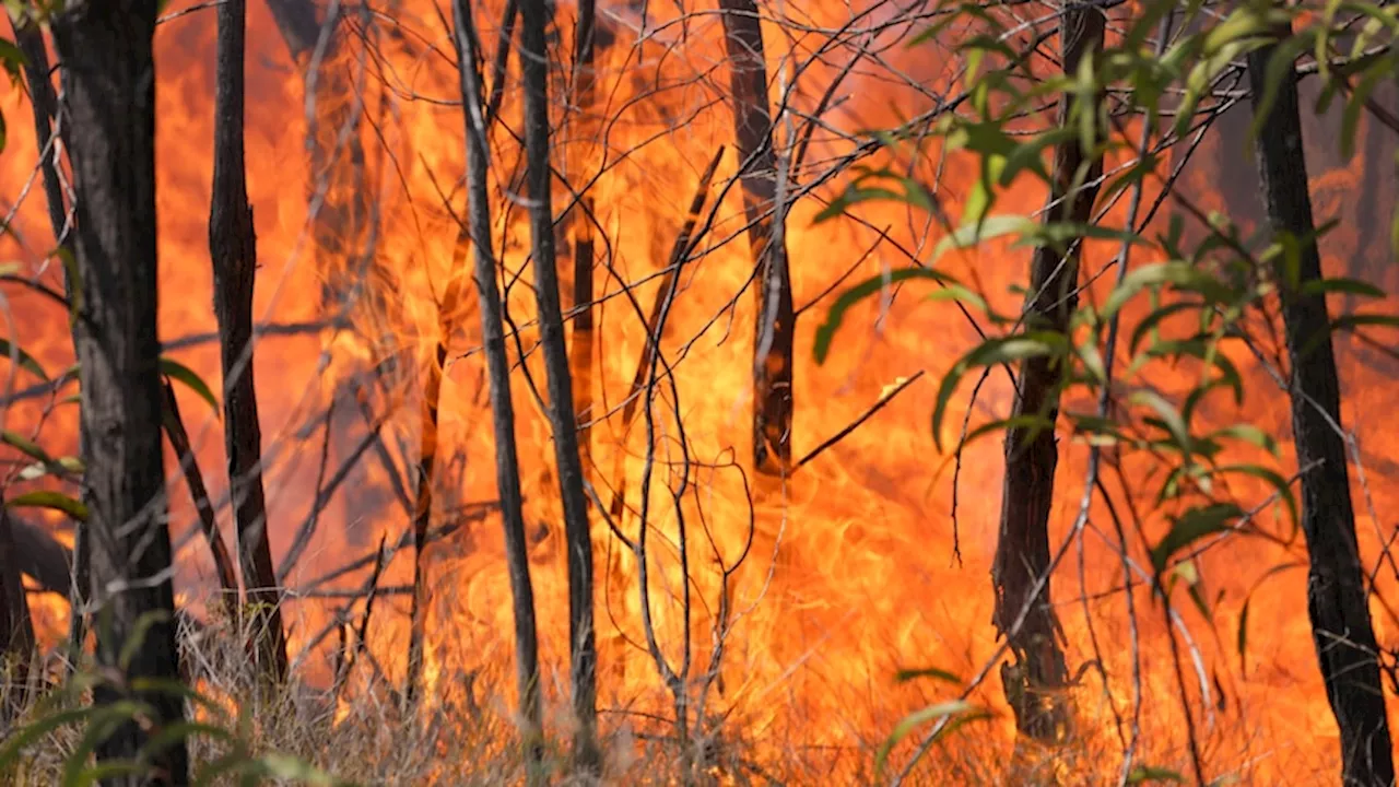 Emergency Warning for Bushfire in South-Western Queensland