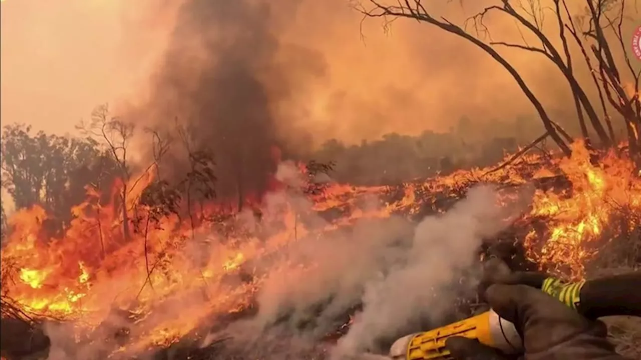 Emergency Warnings for Fires Near Tenterfield and Wallangarra