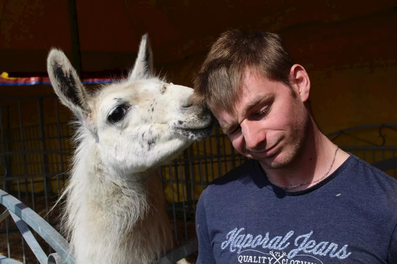 Dix ans après le kidnapping de Serge le lama : 'Cette histoire était devenue son numéro de cirque'