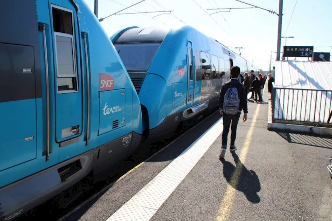 Le trafic des trains perturbé entre Nantes et Angers : un arbre est tombé