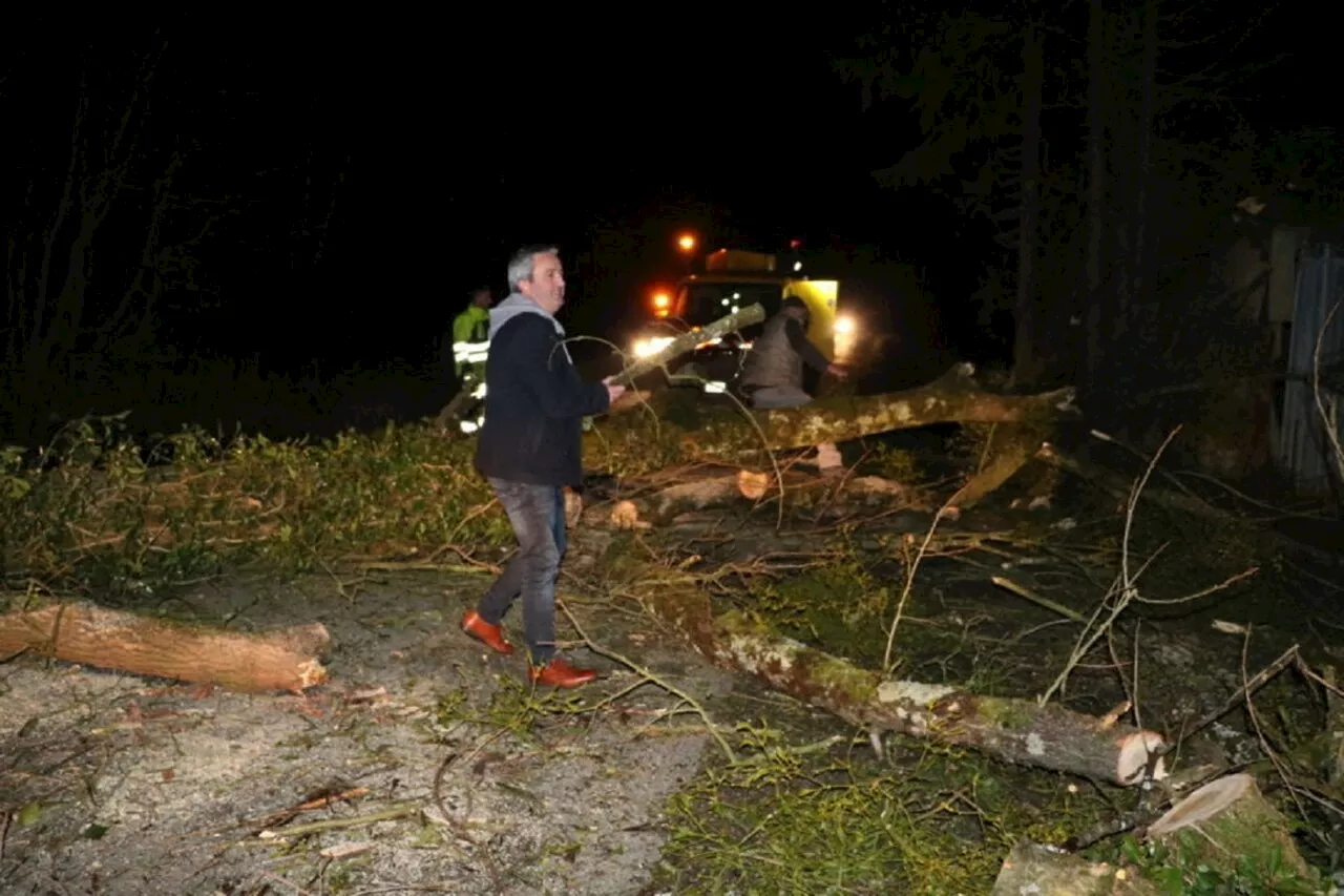 Tempête Ciarán : Météo France place le département de l'Orne en vigilance jaune