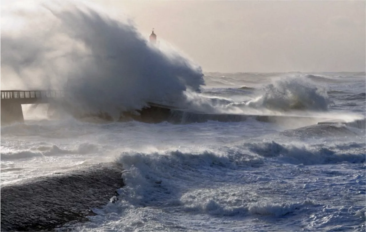 Tempête Ciaran : du vent jusqu'à 170 km/h, une vigilance rouge 'probable', selon Météo France