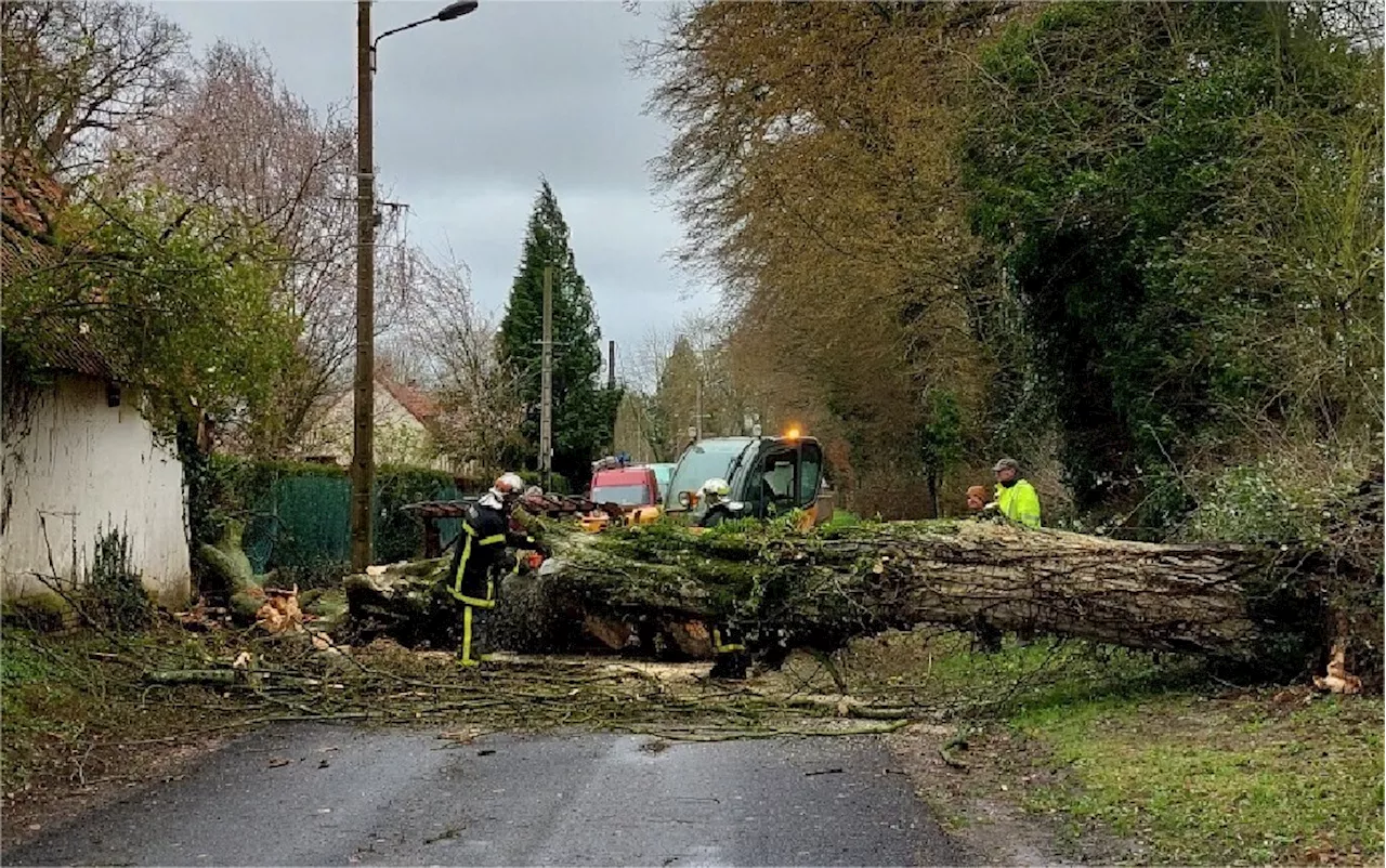 Tempête Ciaran : le parc Aquarev et la forêt de Loudéac interdits d'accès