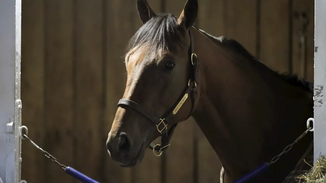 Breeders' Cup contender Practical Move dies after a morning gallop at Santa Anita