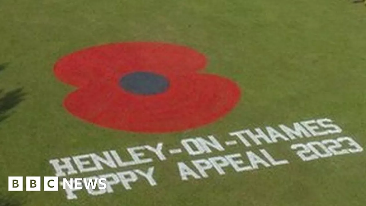 Remembrance Day: Giant poppy painted on Henley-on-Thames meadow