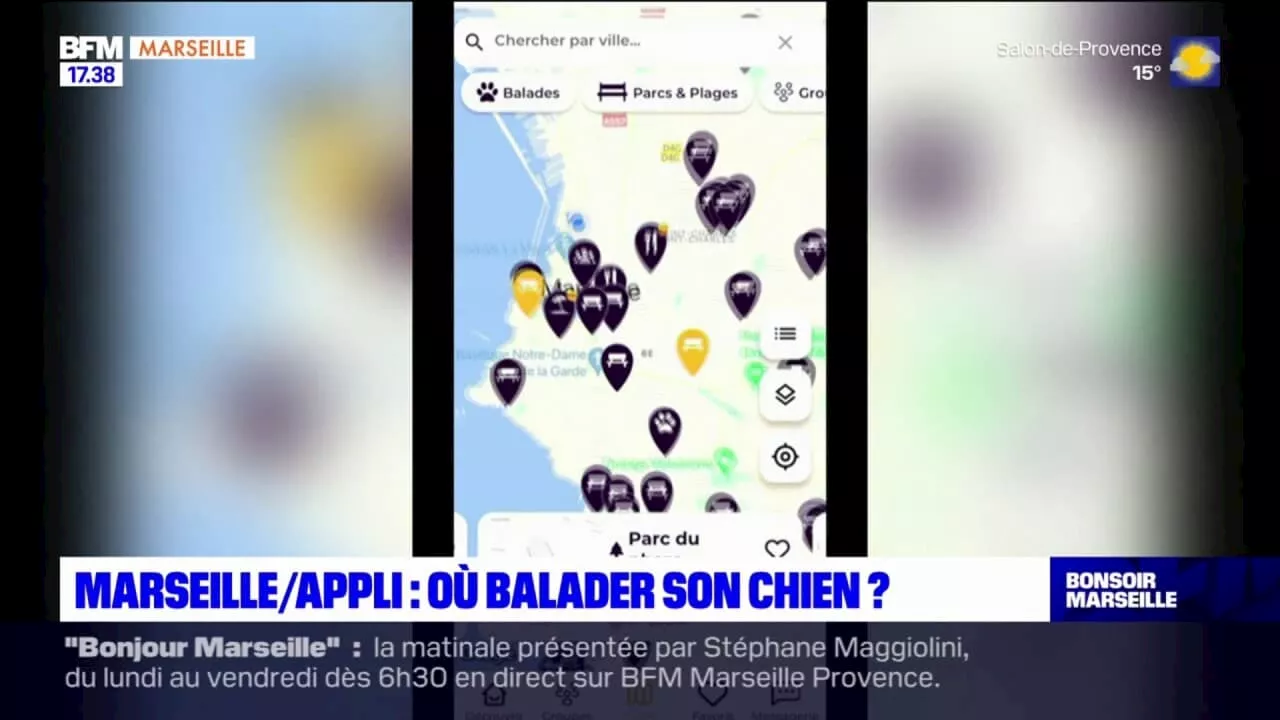 Marseille: une application pour savoir où balader son chien