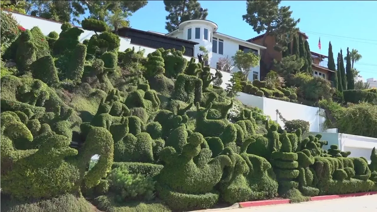 Harper's Topiary Garden | San Diego woman designs unique home garden