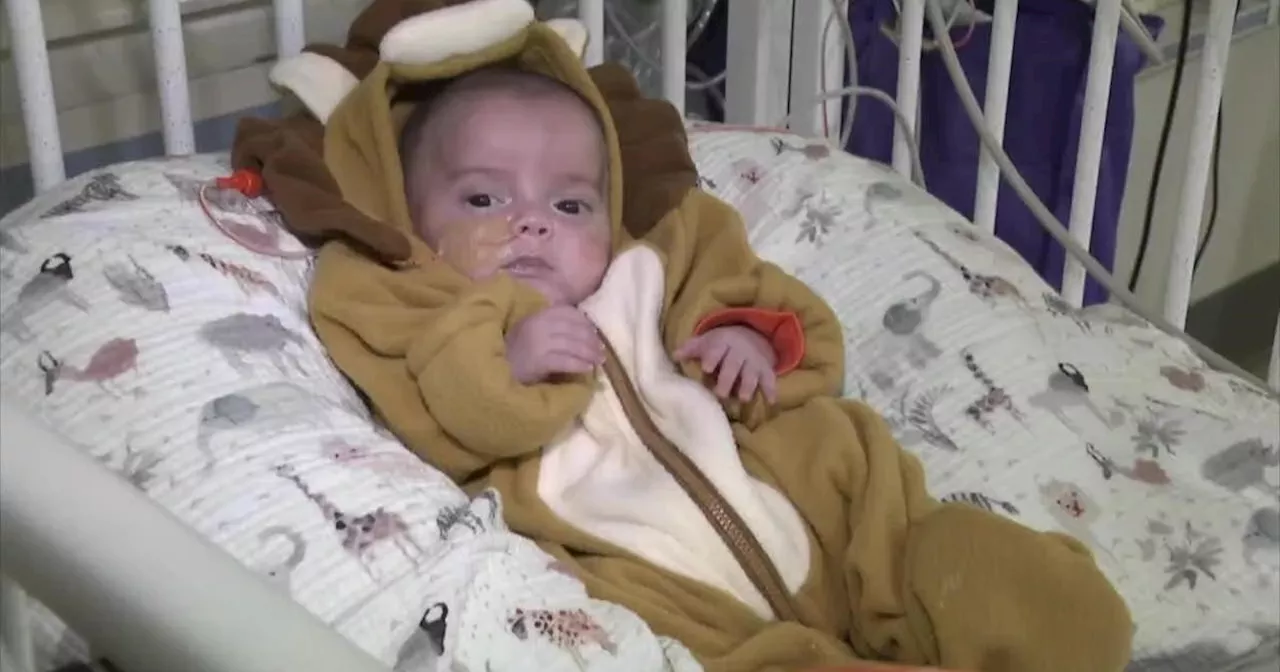 Costumes help spread Halloween joy at NYU Langone Hospital-Long Island's NICU