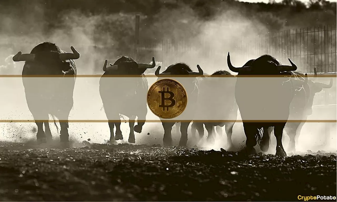 Super Bullish Bitcoin (BTC) Price Prediction: Target By 2024 BTC Halving