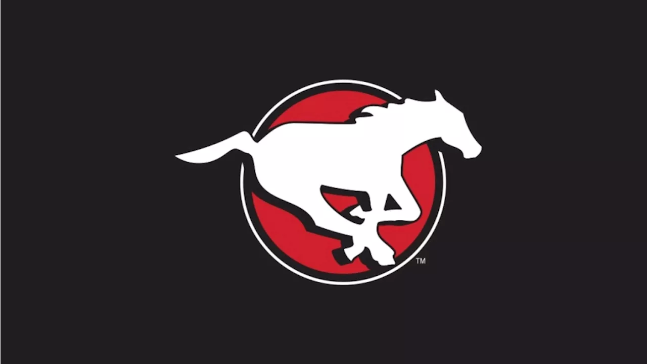 Calgary Stampeders embracing underdog role heading into the playoffs