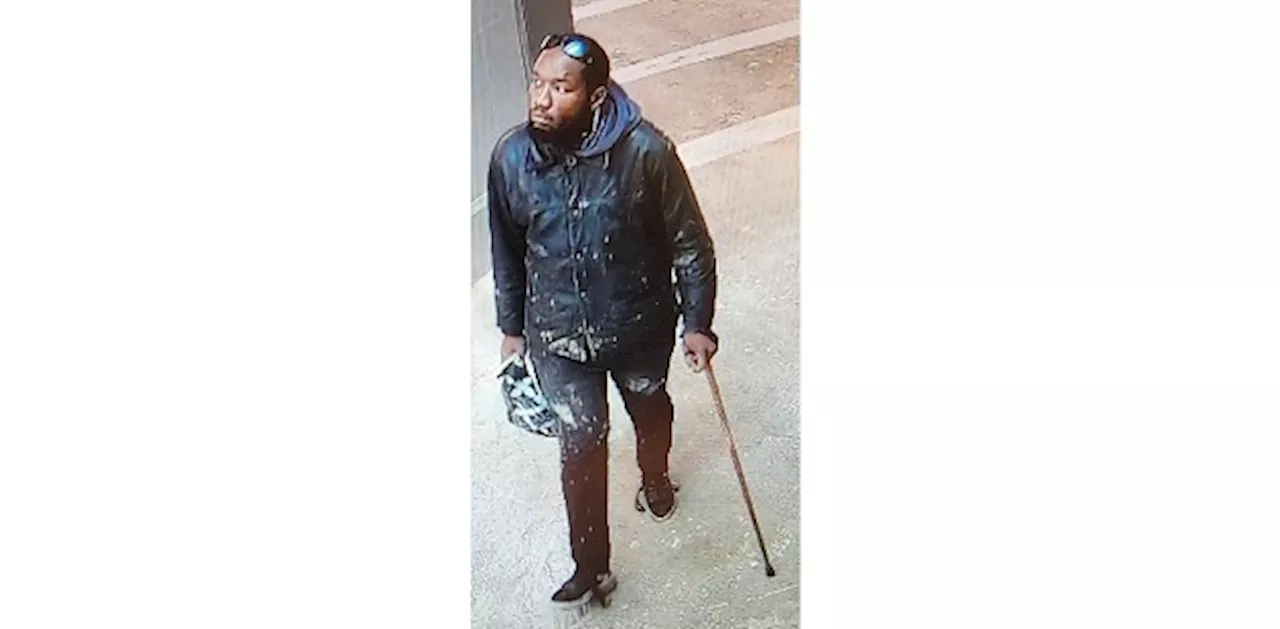 Toronto Police Seeking Man Accused of Assaulting GO Train Passenger