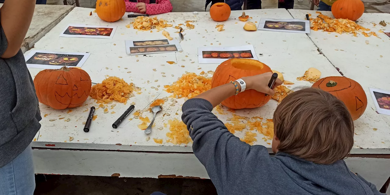 Halloween : immersion dans un atelier de sculpture de citrouilles pour les petits et les grands