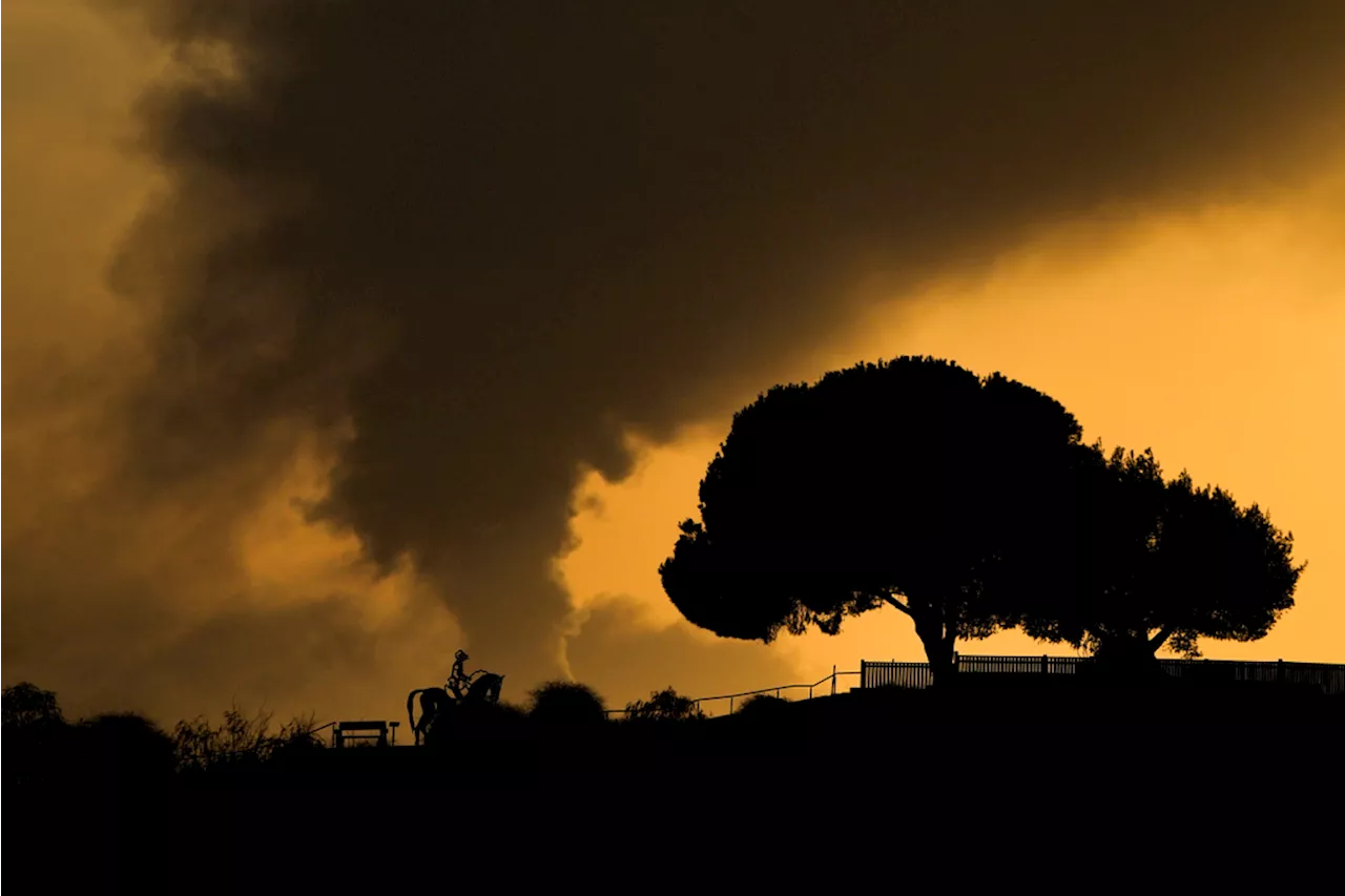 2 French children have died in Gaza, says France