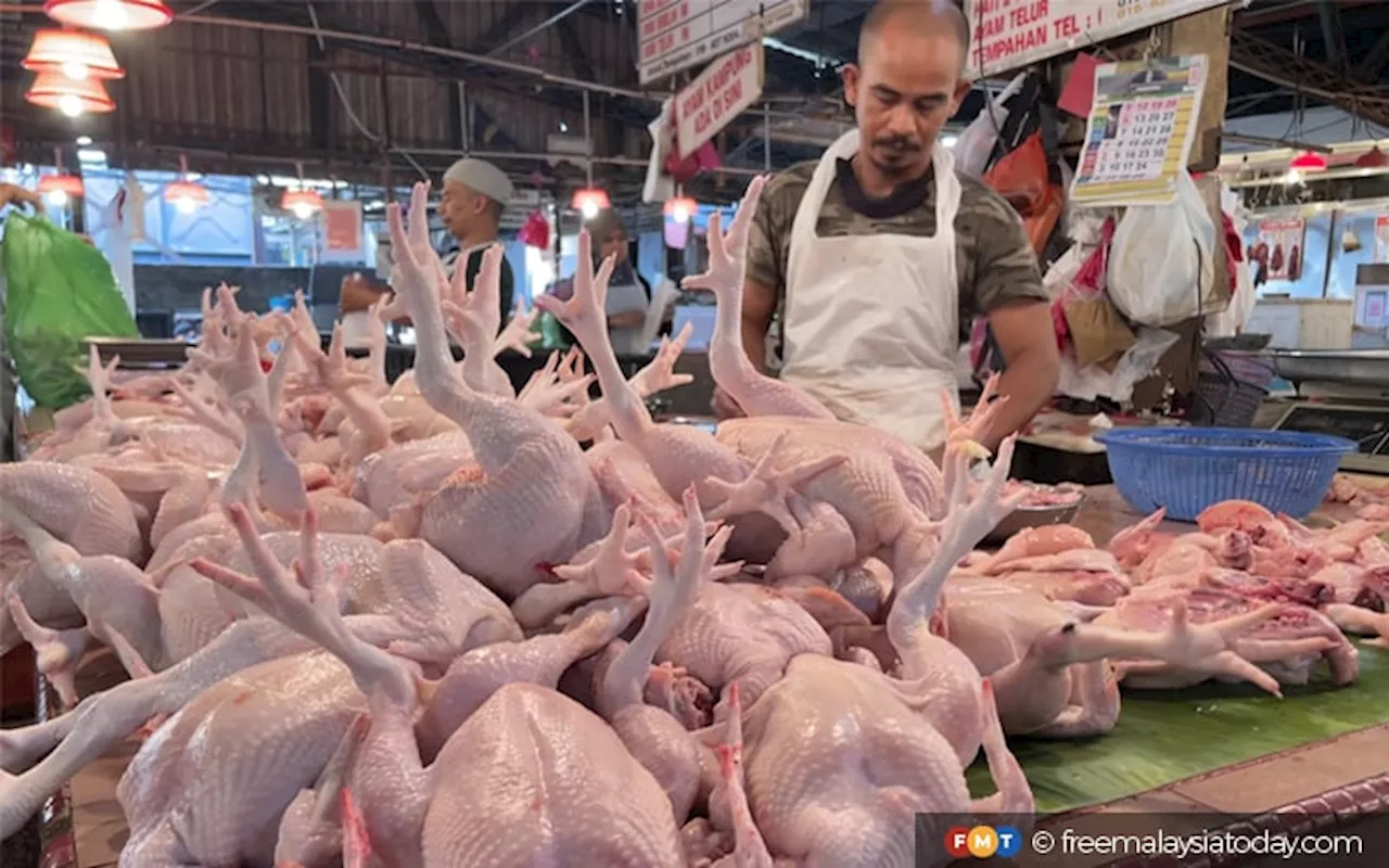 Harga ayam boleh lebih rendah selepas diapung, kata Armizan