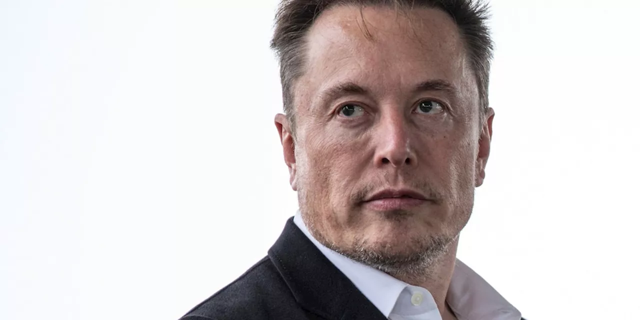 X unter Musk: Unternehmen zögern bei der Nutzung als Werbeplattform