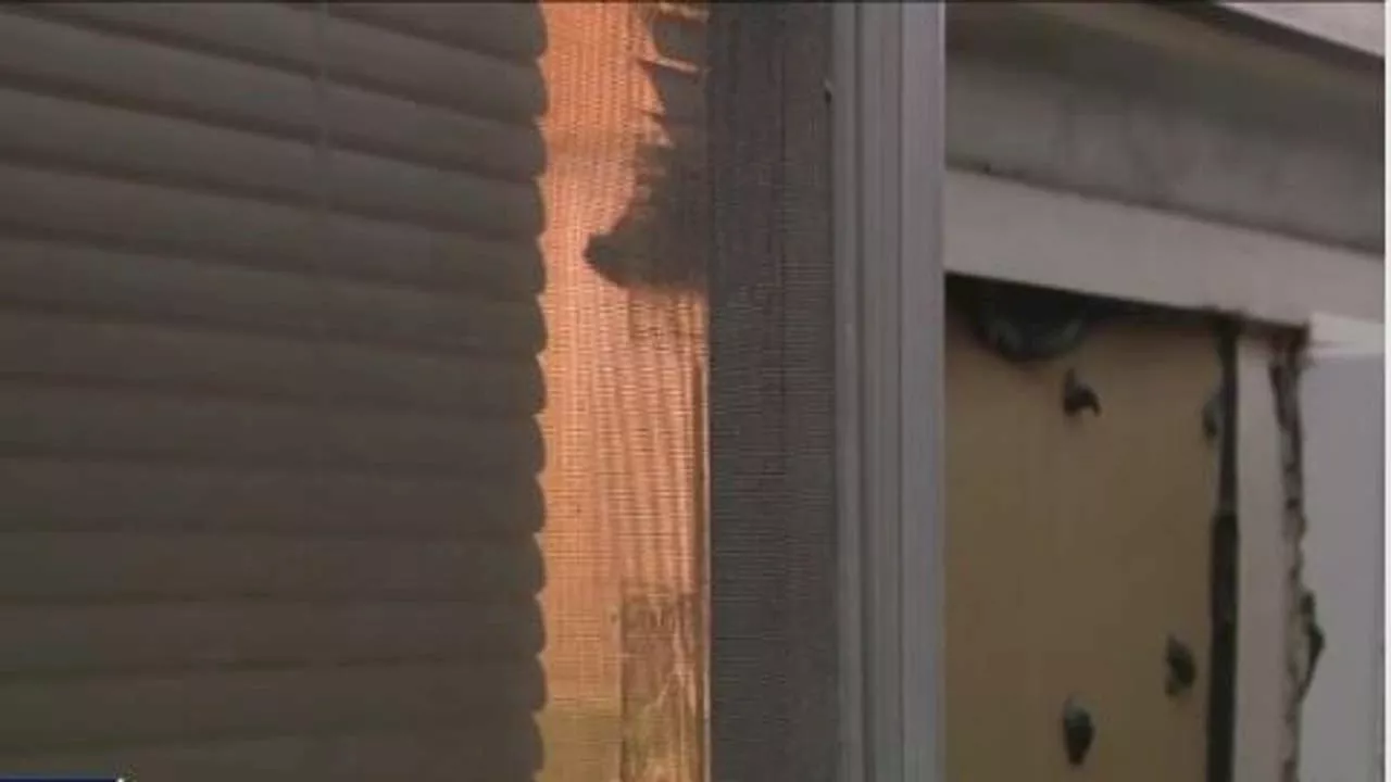 Woman believes she saw a 'Peeping Tom' outside her Montrose, River Oaks Houston apartment