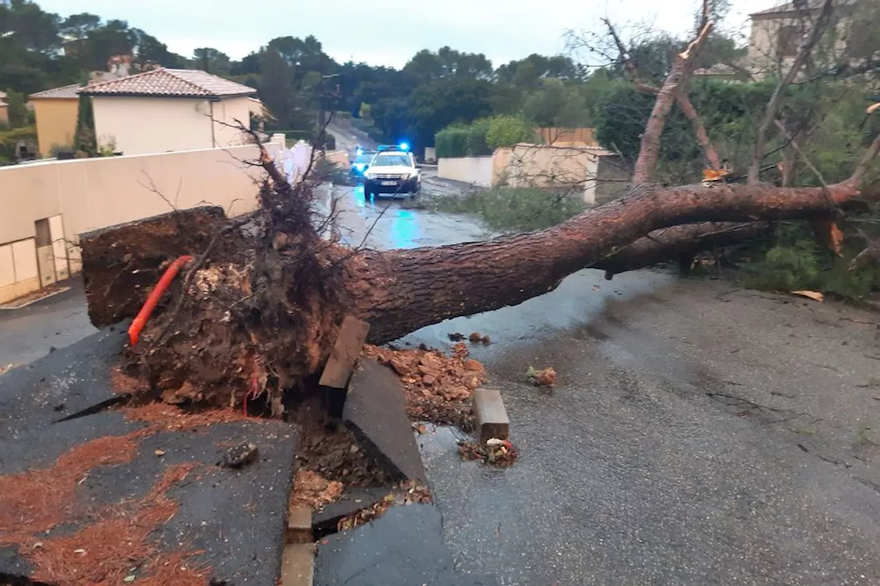 Une tornade 'violente et brève' provoque d'importants dégâts près de Nîmes