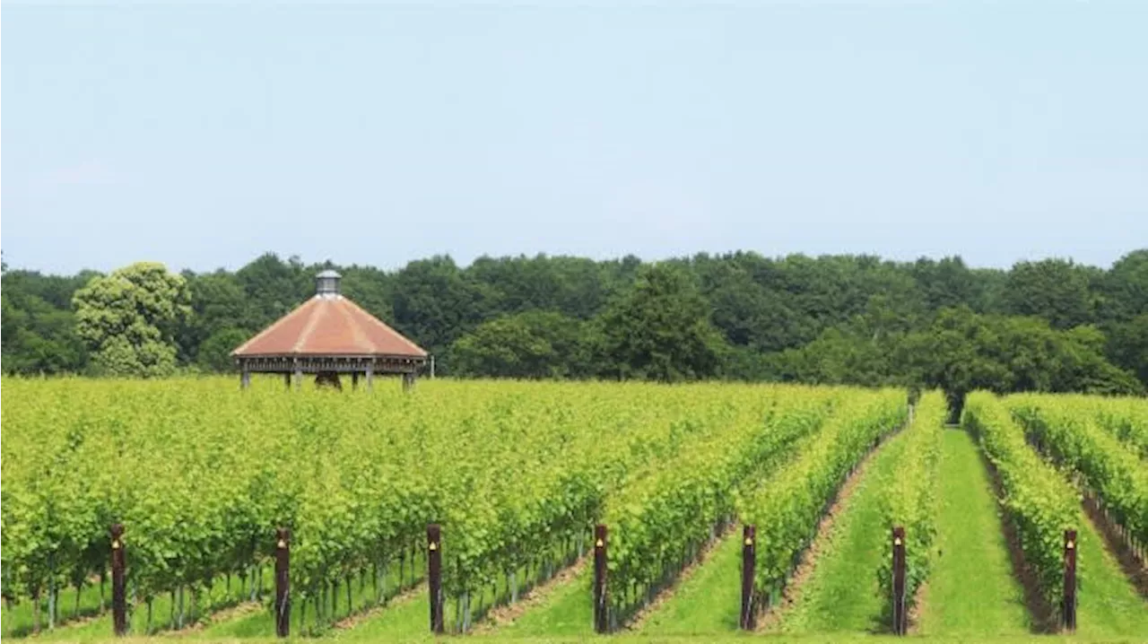 California's Jackson Family Wines Expands to Essex, England