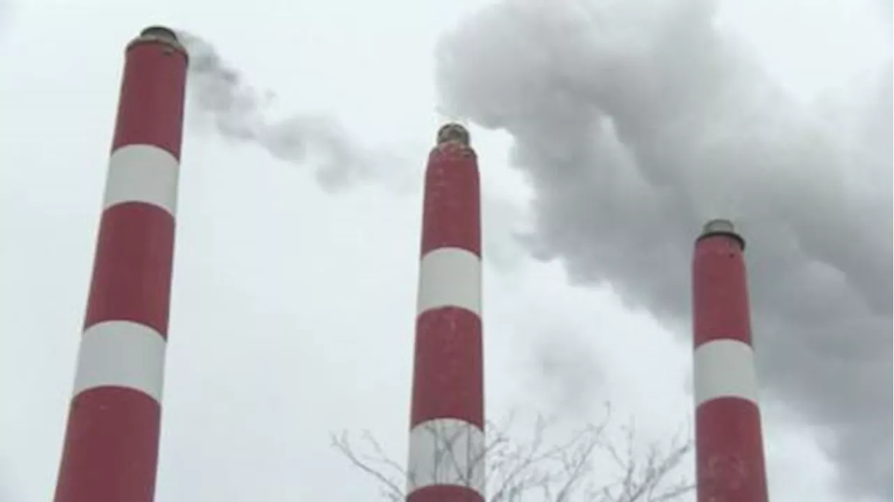 ‘No more carve outs’ coming on carbon pricing: minister | Watch News Videos Online