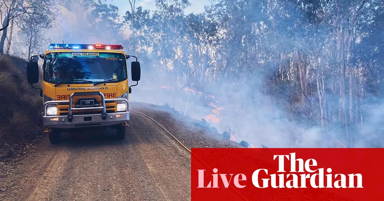 Australia news live: fires in Queensland and NSW threaten homes amid strong winds, high temperatures