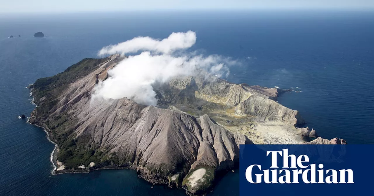 Owner of White Island volcano found guilty of breaching workplace safety laws