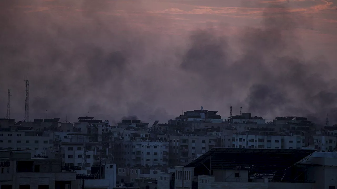 'L'Alma Mater si schieri con Gaza': la richiesta di 143 studiosi all’università bolognese