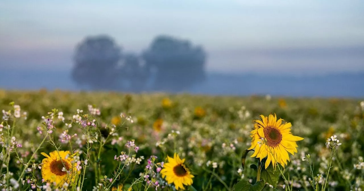 Sonniges Wetter in Bayern mit milden Temperaturen