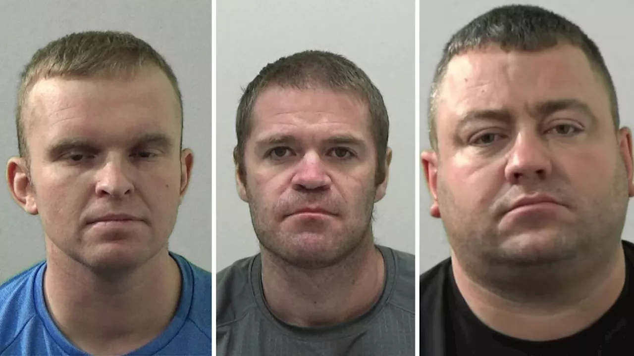 Newcastle drug supplier joins associates in jail over 'large-scale' pandemic ring