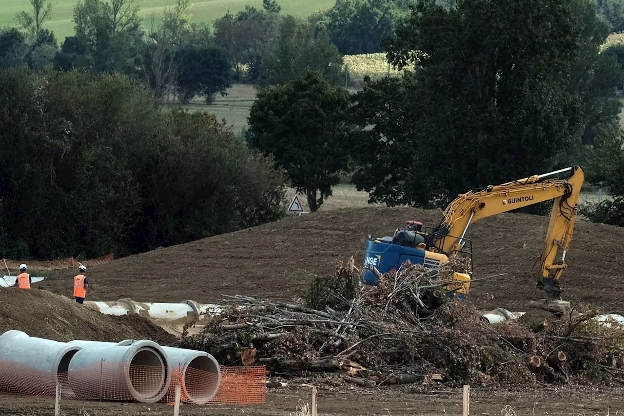 Des naturalistes se radicalisent : « Toutes nos alertes tombent dans l’oreille de sourds »