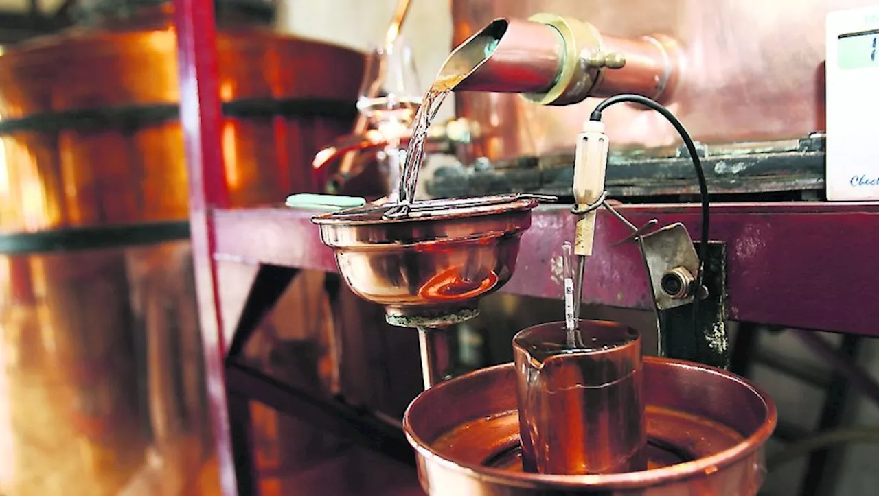 La flamme de l'Armagnac : une tradition gasconne célébrant l'eau-de-vie emblématique de la Gascogne