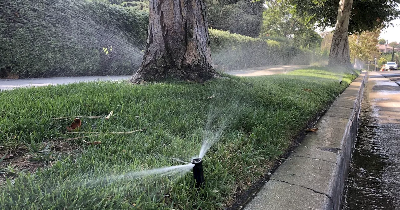 Pasadena Outdoor Watering