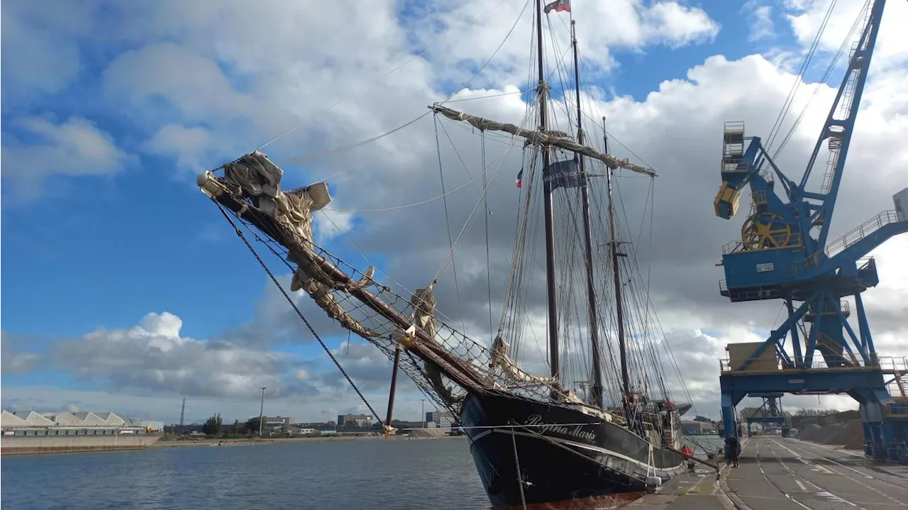 Tempête Ciaran : un trois-mâts goélette se réfugie au port de Calais