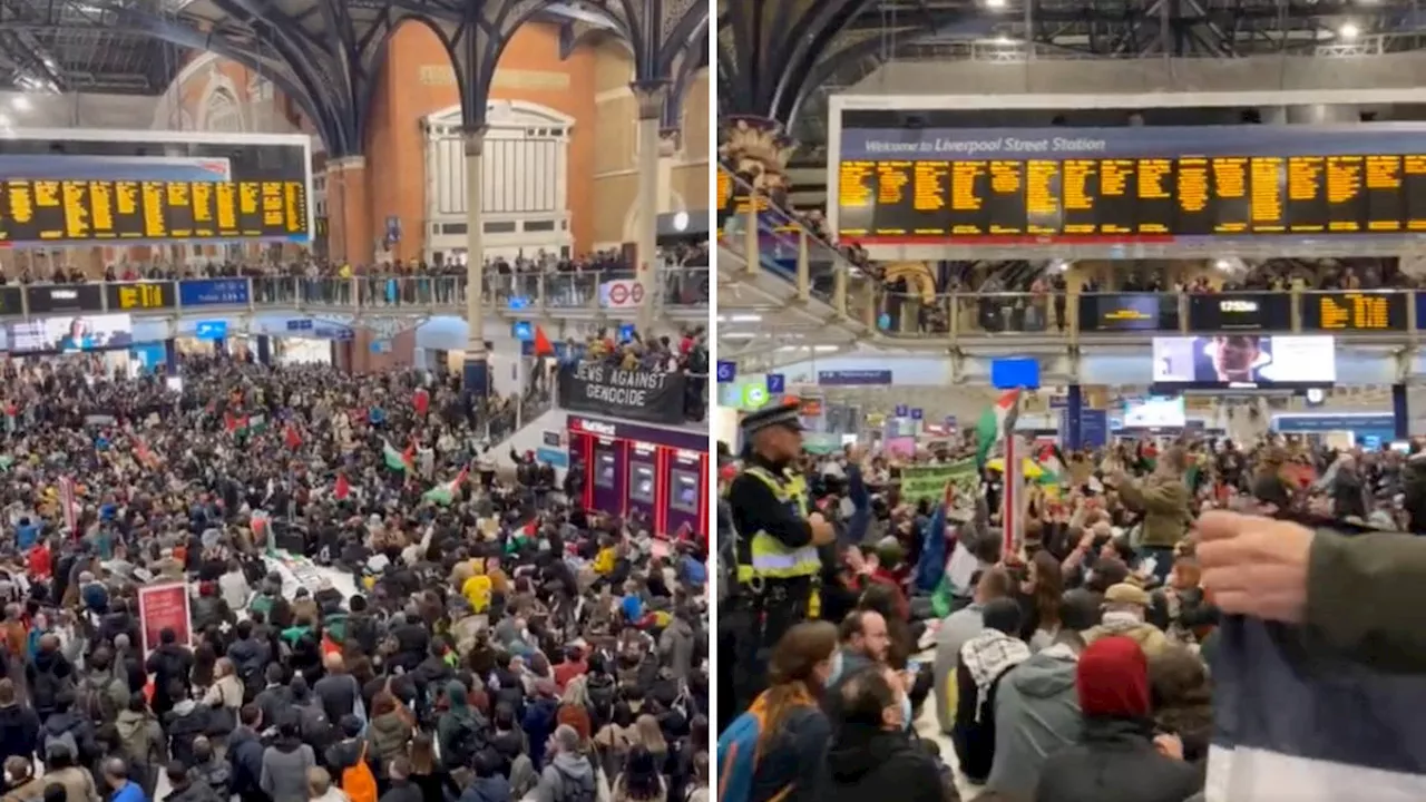 London Liverpool Street station locked down after hundreds of pro-Palestine activists stage huge sit-in...