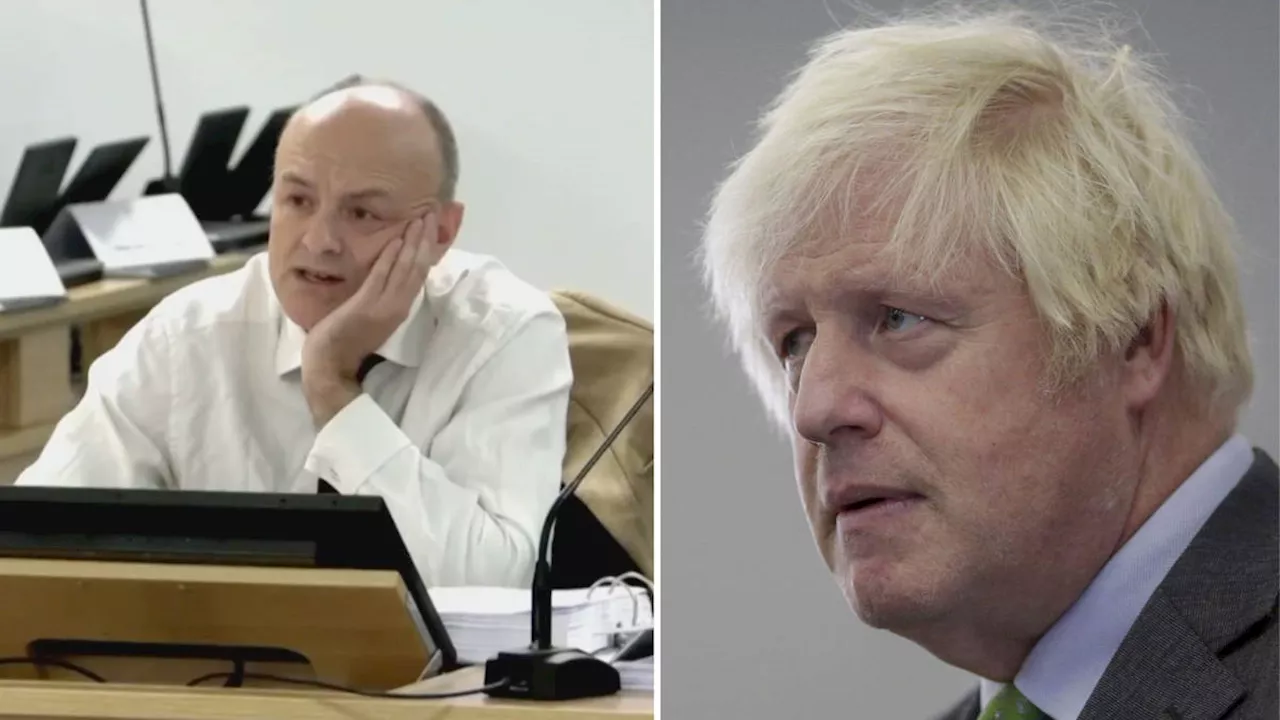 Boris Johnson Calls Dominic Cummings a 'Total and Utter Liar' Over Lockdown Trip