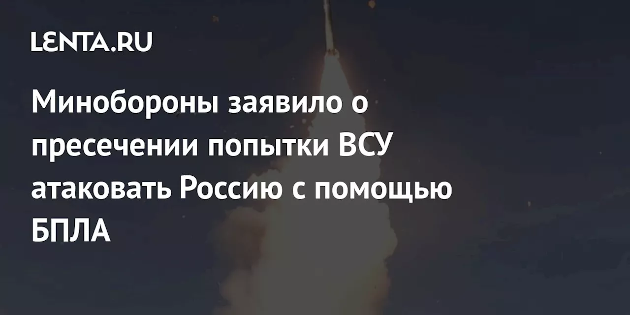 Минобороны заявило о пресечении попытки ВСУ атаковать Россию с помощью БПЛА