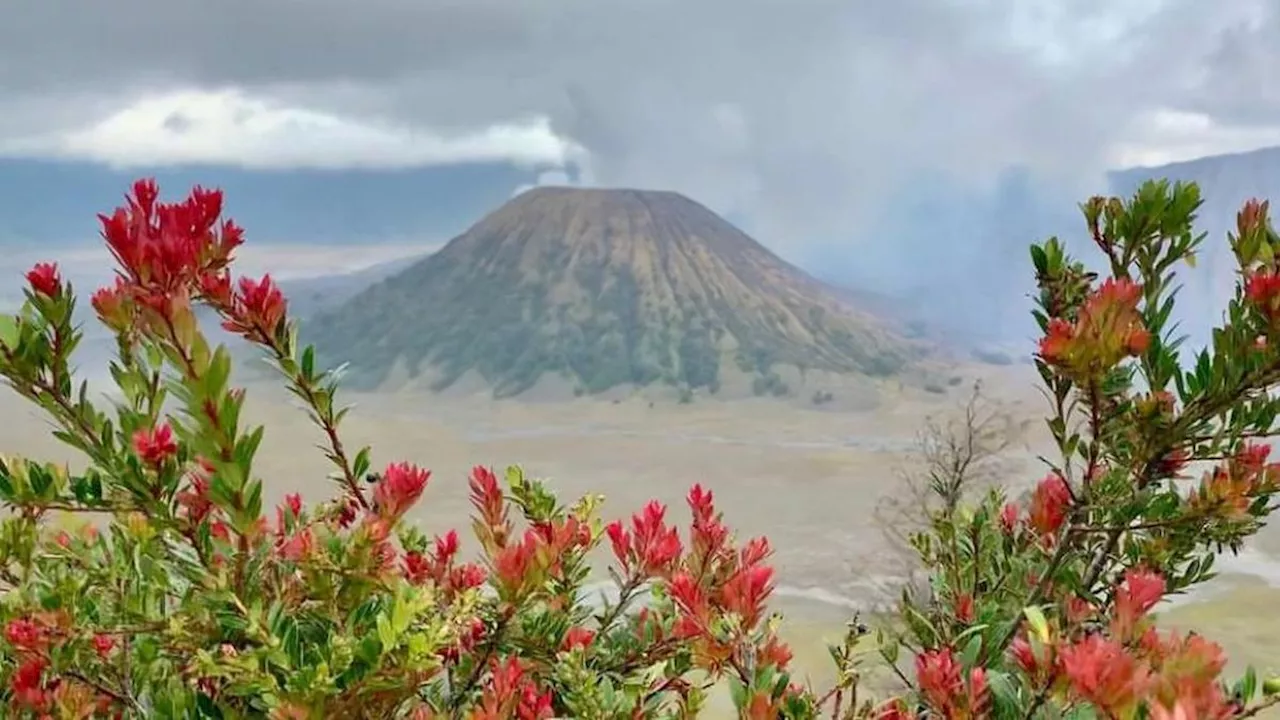 6 Fakta Menarik Gunung Batok, Gunung Tanpa Kawah yang Bersebelahan dengan Bromo dan Semeru