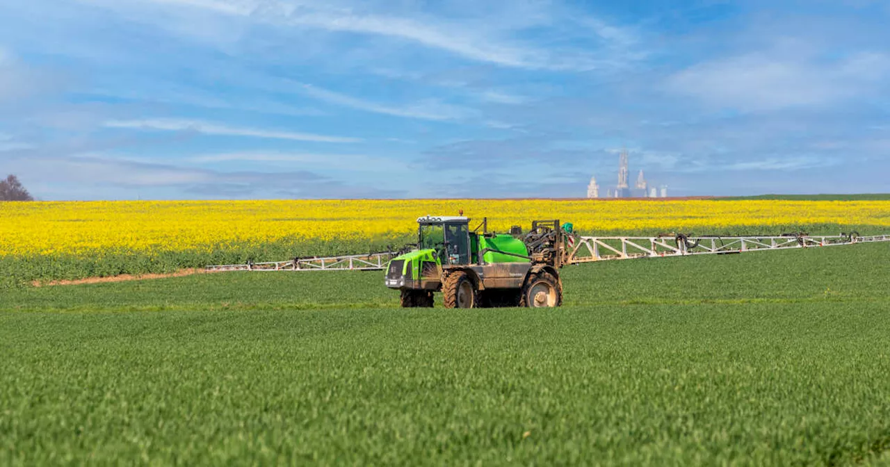 Pesticides : la France veut réduire leur usage de moitié entre la période 2015-2017 et 2030