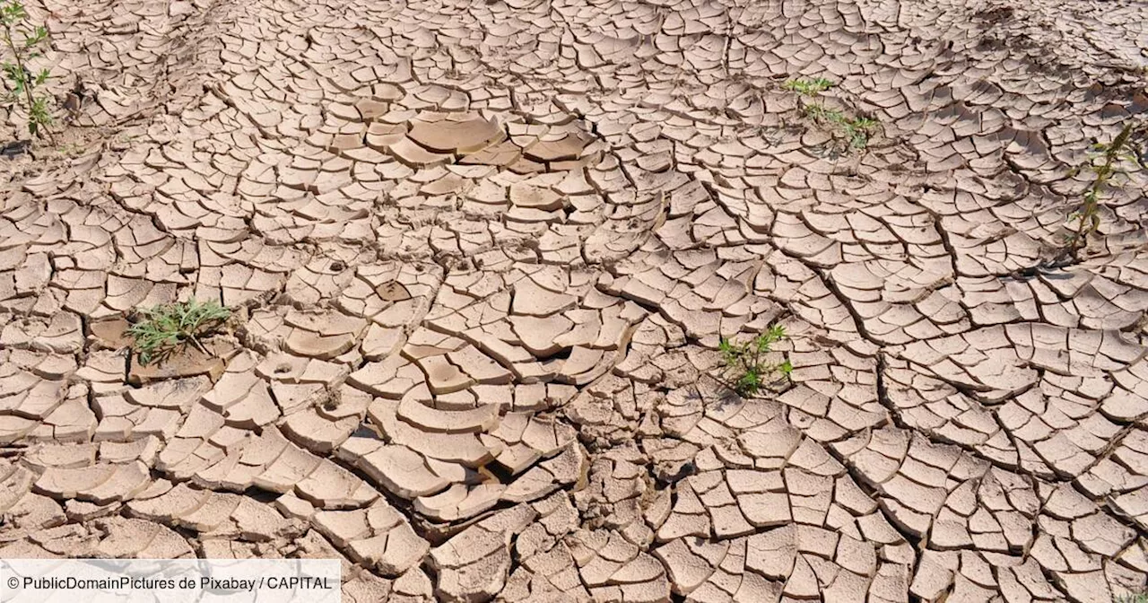 La filière fromagère française inquiète face au réchauffement climatique