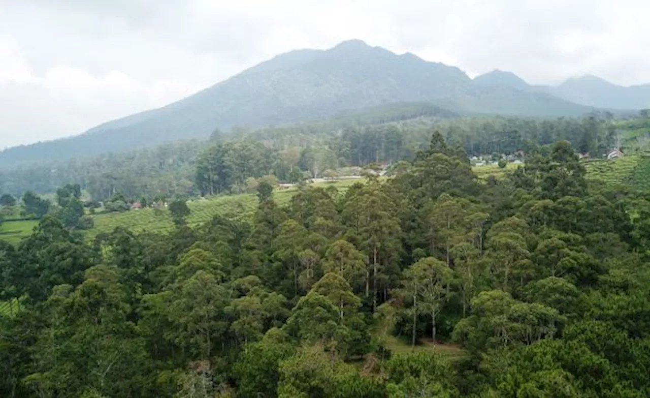 Lagi, Piranti Pemantau Aktivitas Tangkuban Perahu Hilang Dicuri