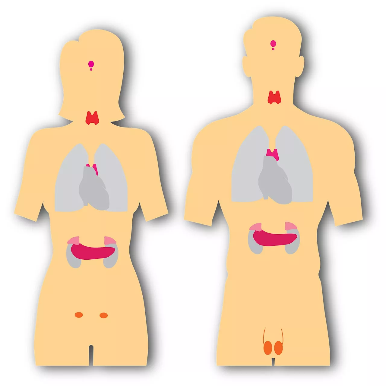 Access to diagnostic tests increases the incidence of thyroid cancer