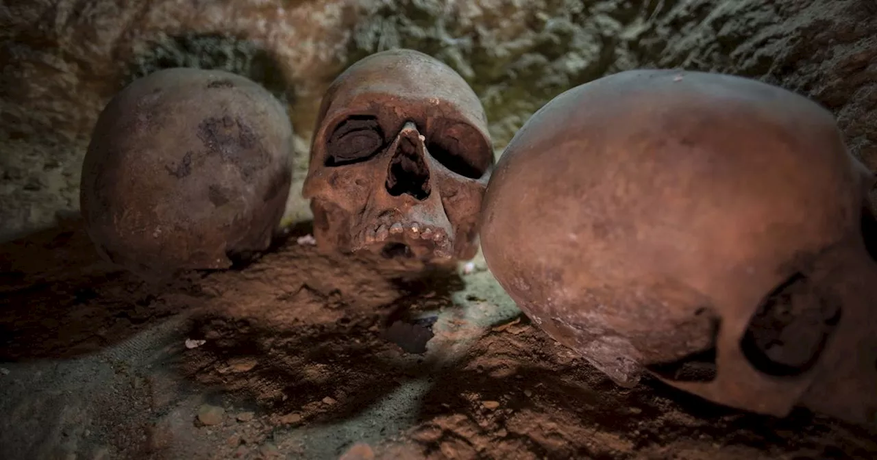 Man Discovers Ancient Skulls in His Garden