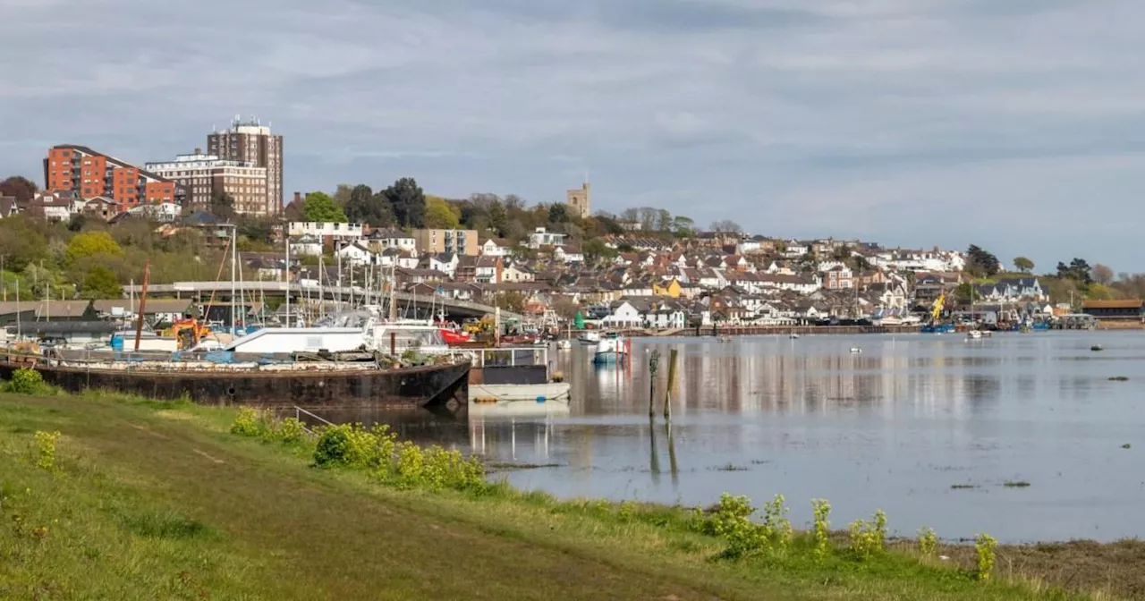 Essex: Man dies after being pulled from lake with woman and dog saved