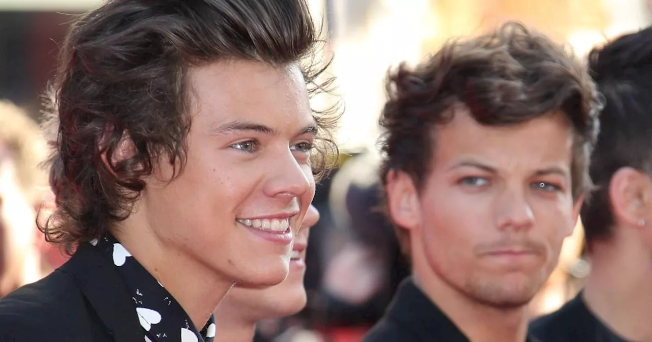 Louis Tomlinson Responds to Fan Theory About Secret Relationship with Harry Styles