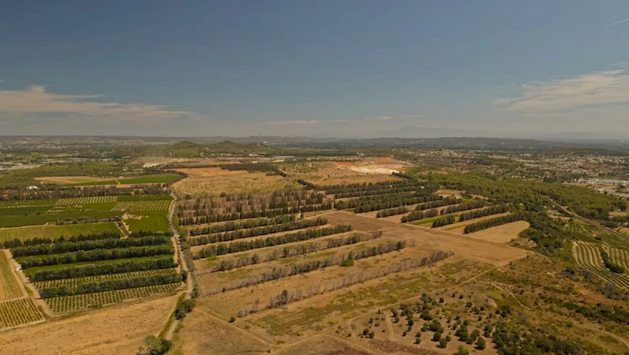 A Beaucaire, les galets des Costières font aussi rêver les carriers