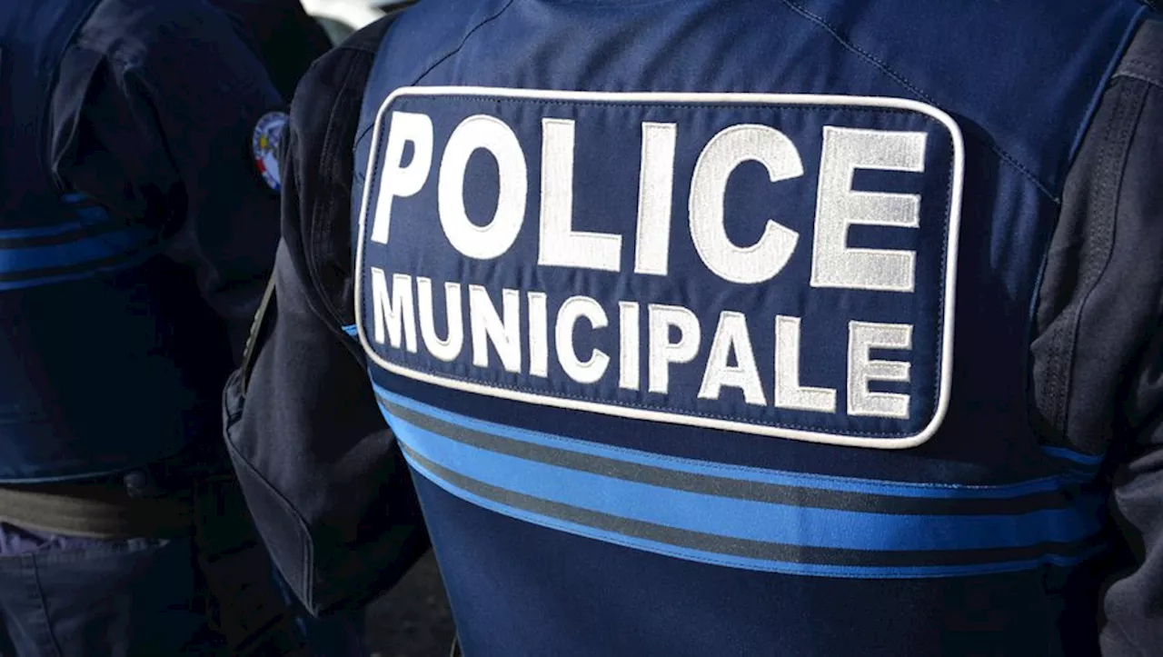 Un étranger en situation irrégulière refuse de s'arrêter et percute un poteau à Montpellier