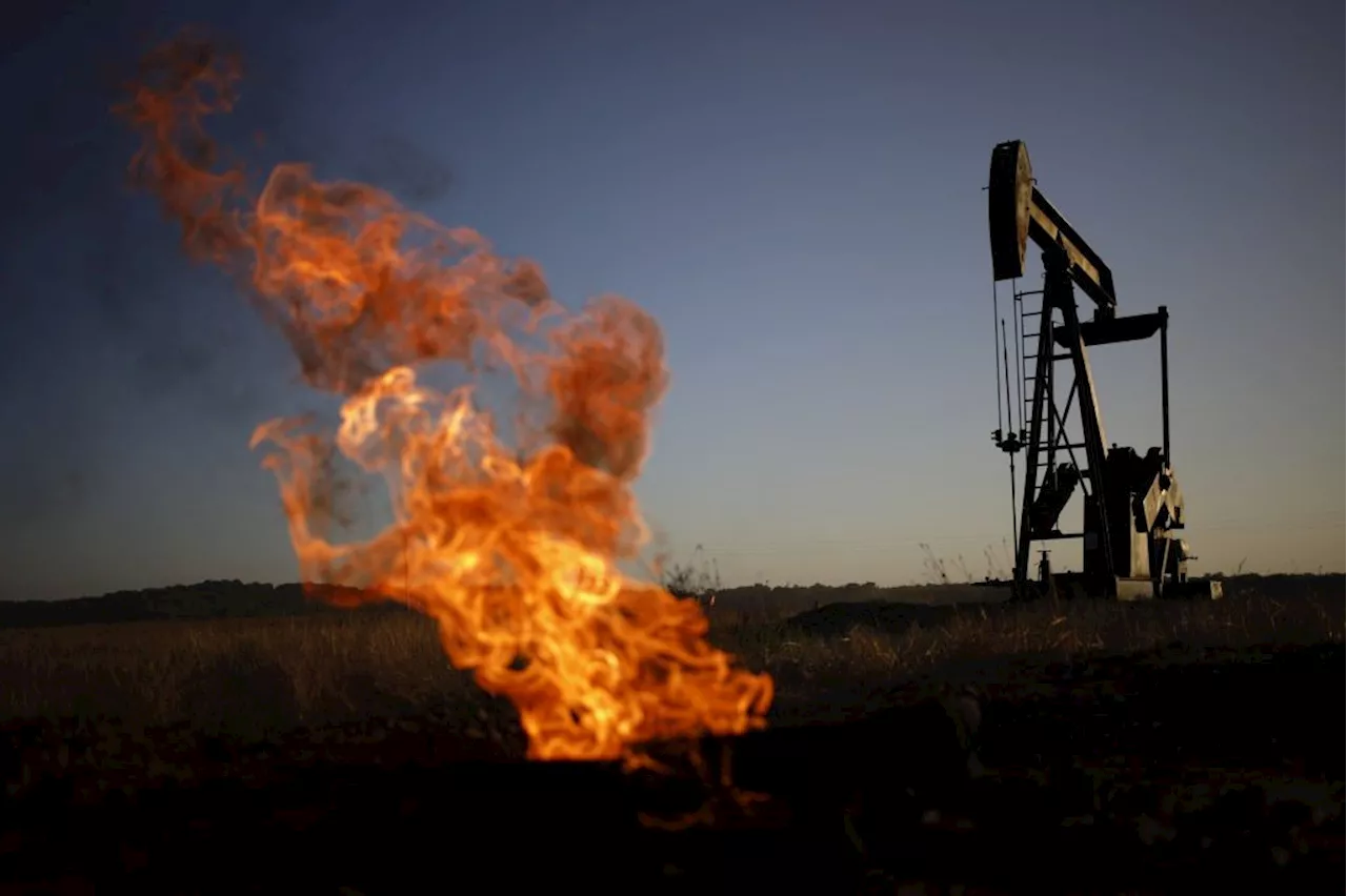 Oil holds slump with Israel-Hamas war, demand outlook in focus