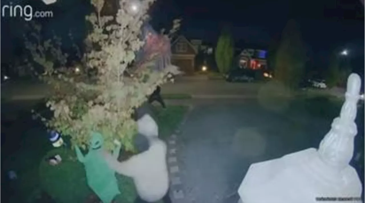 ‘You’re ruining everybody else’s time:’ Bothell neighborhood Halloween decorations vandalized