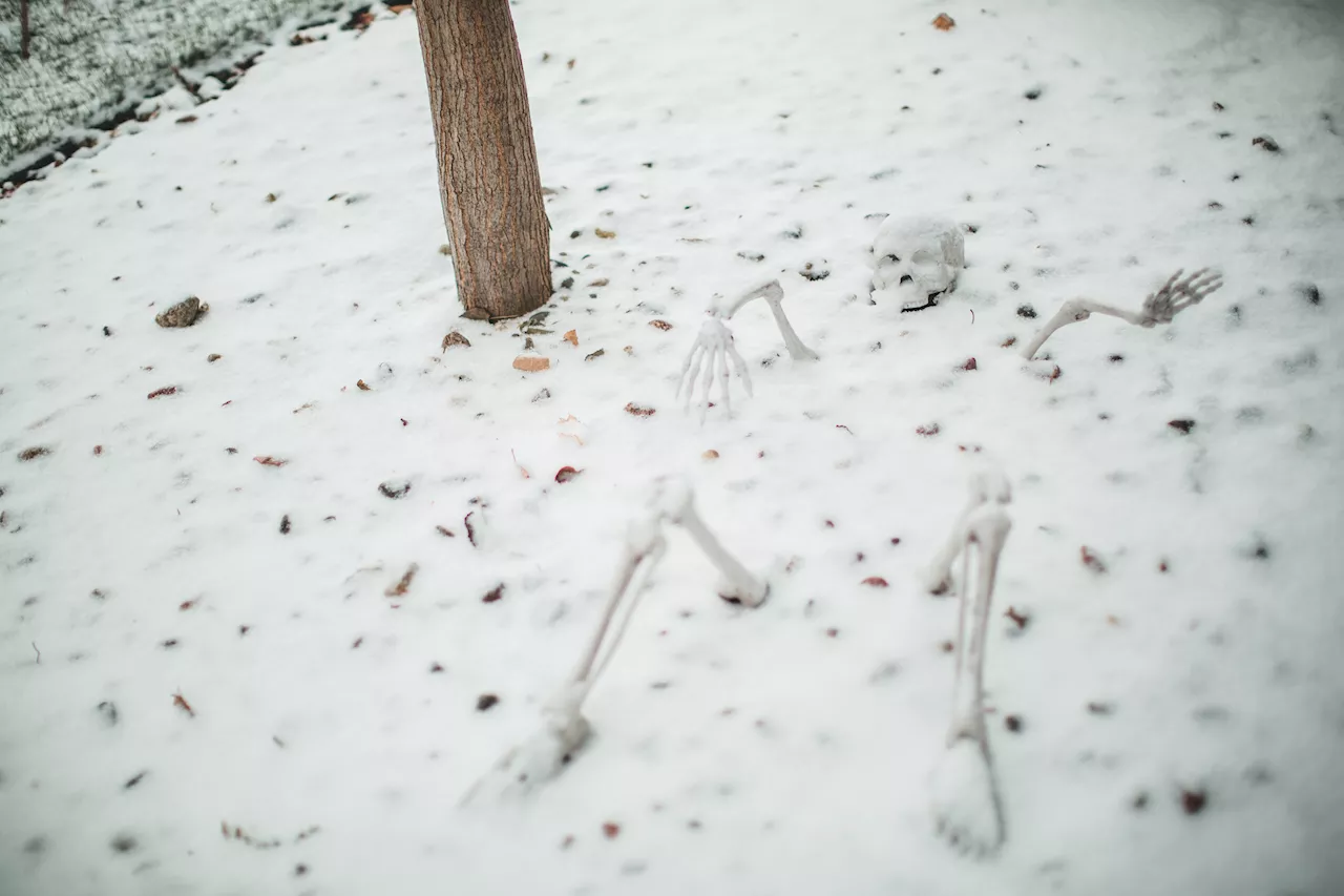 Chicago Halloween forecast: ‘Bursts' of snow, squalls and wind chills in the 20s