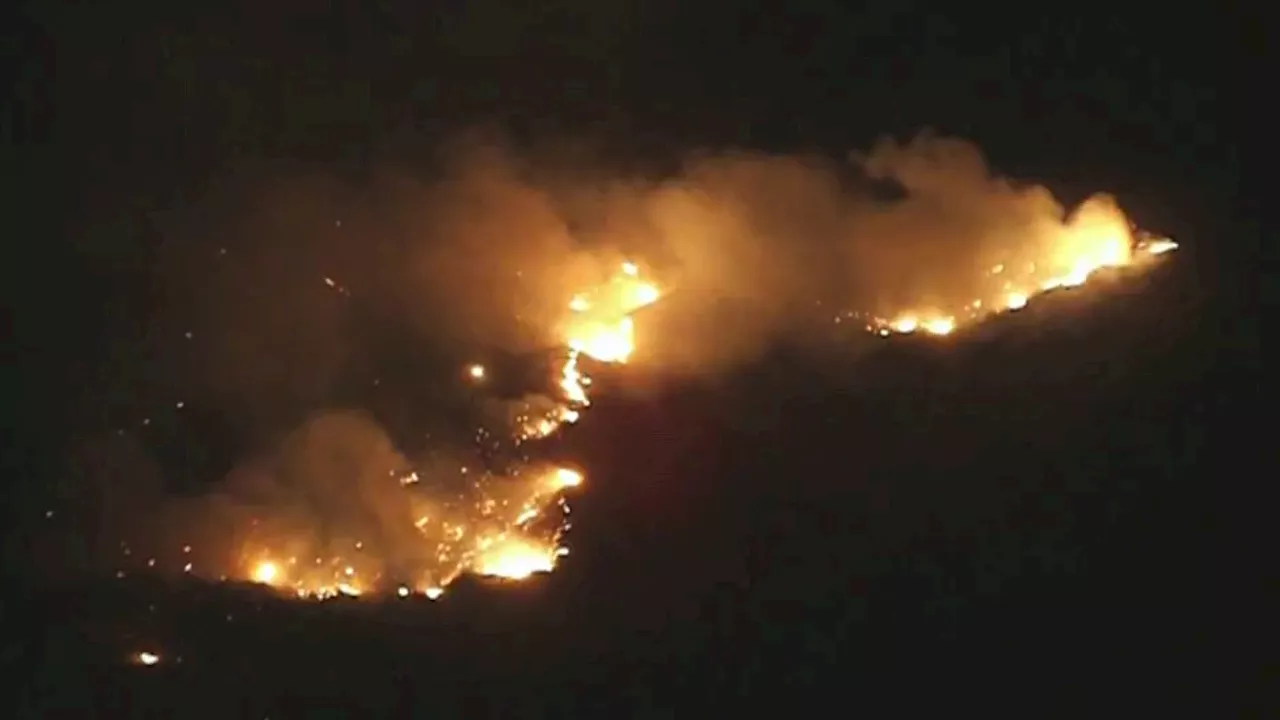 Aguanga brush fire rips through Riverside County